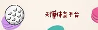 使用指南与常见问题